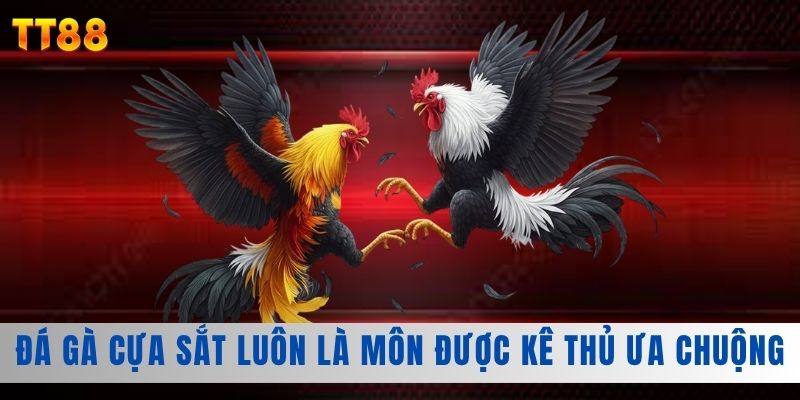 Đá gà cựa sắt luôn là môn được kê thủ ưa chuộng